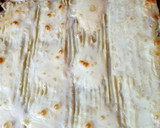 Foto del paso 4 de la receta: Pastel de papas