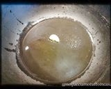 Foto del passaggio 1 della ricetta Cozze Ripiene al Sugo - Senza Glutine -
