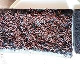 Foto langkah ke 6 dari resep Brownies oreo lapis keju.