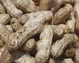 Foto langkah ke 2 dari resep Kacang Tanah Rebus.