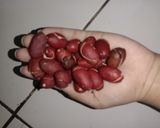 Foto langkah ke 1 dari resep Tumis kulit melinjo.