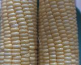 Foto langkah ke 1 dari resep Jasuke (jagung susu keju).
