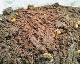 Foto del paso 3 de la receta: Brownies Marqueses