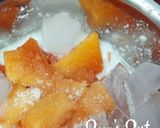 A picture of step 1 of Papaya Coconut Milk Smoothie.