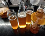 Foto del paso 6 de la receta: Kombucha Primera Fermentación 🔛