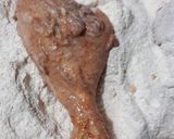 A picture of step 3 of Crispy fried chicken.