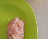 Foto langkah ke 4 dari resep Chiken gordon alanyakle.