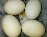 Hình bước làm 1 của món Hột Vịt Lộn Xào Me