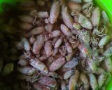 Foto langkah ke 2 dari resep Sambal Baby Cumi.