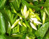 Foto langkah ke 3 dari resep Kwetiau Goreng.