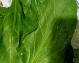 A picture of step 2 of Palak pakora.