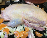 Foto del paso 3 de la receta: Pato relleno asado con mandarinas