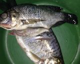 Foto langkah ke 1 dari resep Ikan mas bakar happycall.