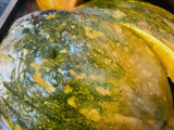 Pumpkin Purée: A Taste of Orange, and My First Autumn Abroad