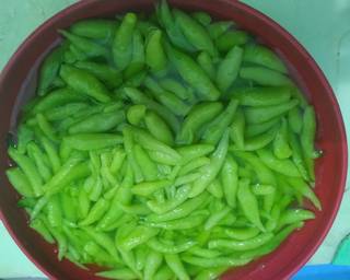 CINTA (CINDOL N TAPE) - Step 1