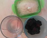 Foto del paso 6 de la receta: Panacota de coco con coulis de zarzamora y canela