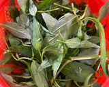 Hình bước làm 1 của món Gỏi Xoài Cà Rốt Rau Răm Trộn Khô Cá Sặc