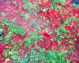 A picture of step 3 of Maisur masala gravy.