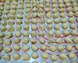 Foto langkah ke 4 dari resep Crispy coconut cookies #Dapur fitri.
