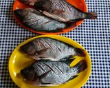 Foto del paso 1 de la receta: Mojarra frita con ajillo y mantequilla al limón