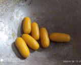 A picture of step 1 of Gujarati Faafda recipe.