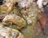 Foto langkah ke 5 dari resep 🐓🐓Rendang Ayam🐓🐓.
