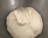 Foto del passaggio 5 della ricetta Pizze al piatto e bianca (67% idratazione)🍕