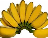 Foto langkah ke 1 dari resep Banana Crispy Mantap.