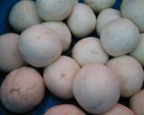 Foto langkah ke 5 dari resep Onde onde isi ubi putih.