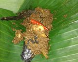 Foto langkah ke 4 dari resep Lele bumbu kluweek.