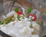 Foto del paso 1 de la receta: Porra de yogur con burrata -salmorejo-