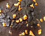 A picture of step 5 of Brownie.