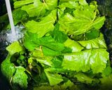 عکس مرحله 1 از دستور دلمه برگ مو🌿