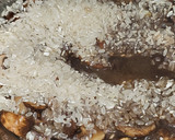 Foto del paso 4 de la receta: Arroz con setas y ajos tiernos