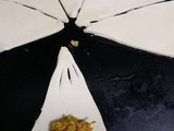 New uniqe samosa