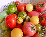 Hình bước làm 1 của món Sốt Cà Chua Cá Cơm Muối