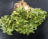 A picture of step 1 of Lima beans saag.