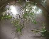 A picture of step 2 of Herbal Refreshing Rosemary Tea.