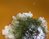 Foto del paso 4 de la receta: Croquetas de arroz, brotola y camarones