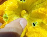 A picture of step 3 of Stuffed Pumpkin flowers with ricotta.