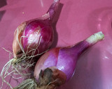 Foto del paso 1 de la receta: Cebolleta encurtida