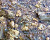 Foto del paso 6 de la receta: Arroz Alicante