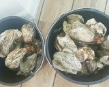 Hình bước làm 2 của món Cháo hàu