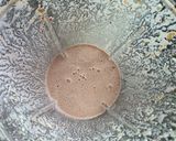 Foto del paso 3 de la receta: Batido frutilla y banana