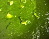 ગાર્લીક પાલક પનીર (Garlic Palak Paneer Recipe In Gujarati) રેસીપી સ્ટેપ2ફોટો