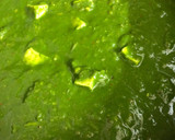 ગાર્લીક પાલક પનીર (Garlic Palak Paneer Recipe In Gujarati) રેસીપી સ્ટેપ2ફોટો