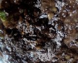 Foto langkah ke 3 dari resep Muffin Banana Cocho enak tanpa loyang husus.