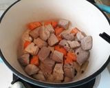 蘿蔔燉肉的食譜步驟3照片