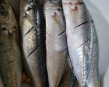 Foto langkah ke 1 dari resep Ikan Goreng Tumis Cabe Hijau.