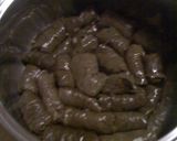 A picture of step 6 of Dolmadakia Yalantzi 2.